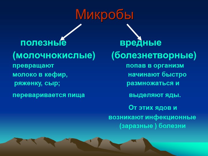 Проект "Здоровье в порядке-спасибо зарядке".