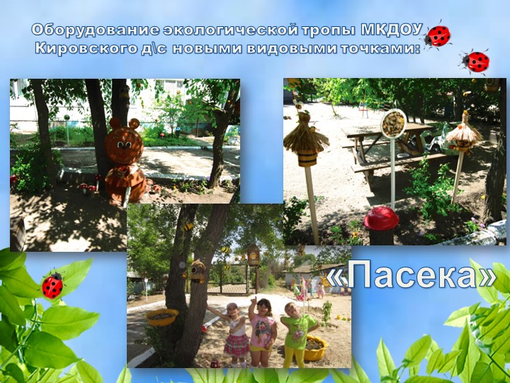 Благоустройство территории детского сада
