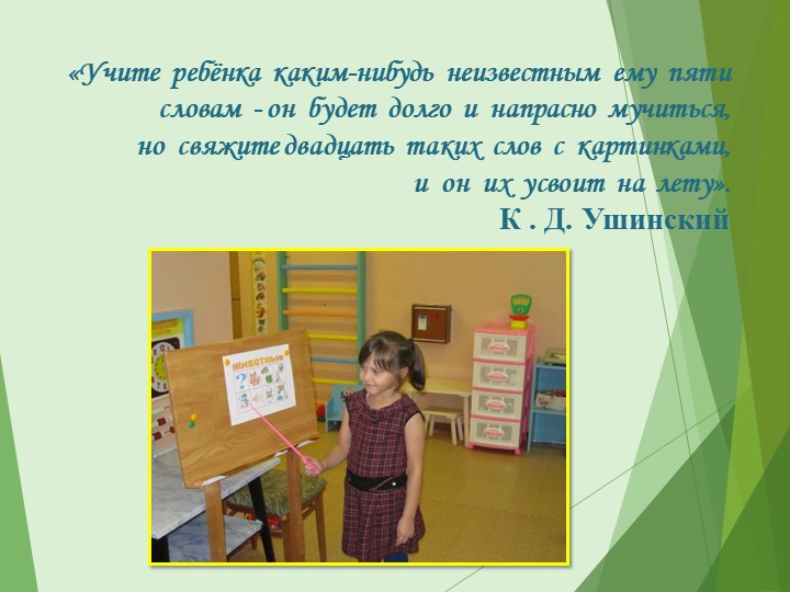 Презентация «Повышение уровня речевого развития детей дошкольного возраста посредством мнемотехники»