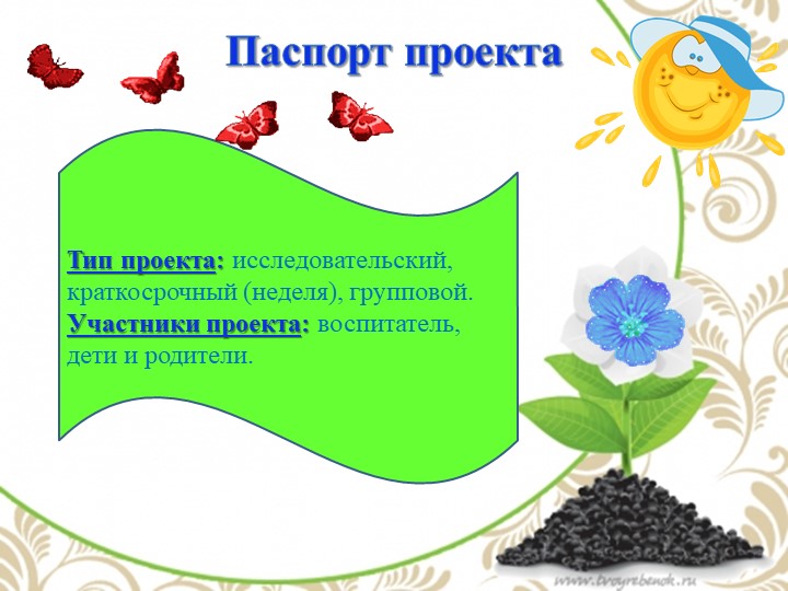 Презентация по экологии "Комнатные растения - наши друзья"
