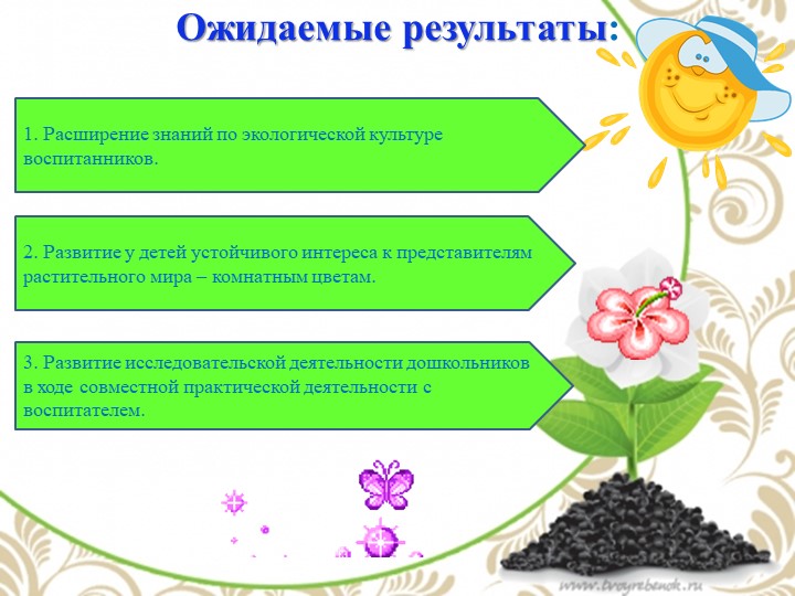 Презентация по экологии "Комнатные растения - наши друзья"