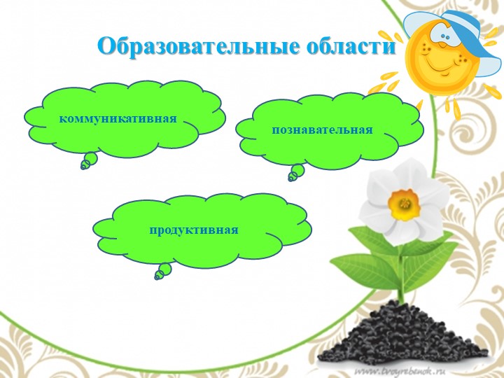 Презентация по экологии "Комнатные растения - наши друзья"