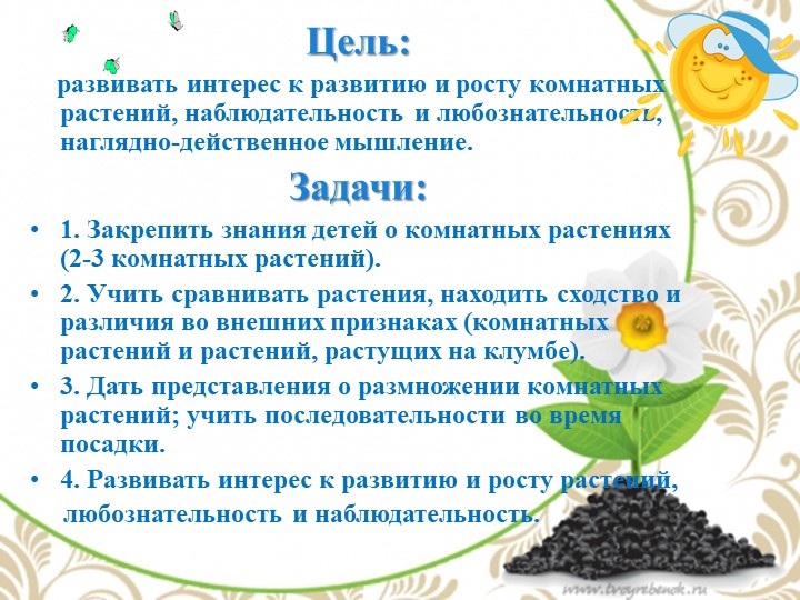 Презентация по экологии "Комнатные растения - наши друзья"