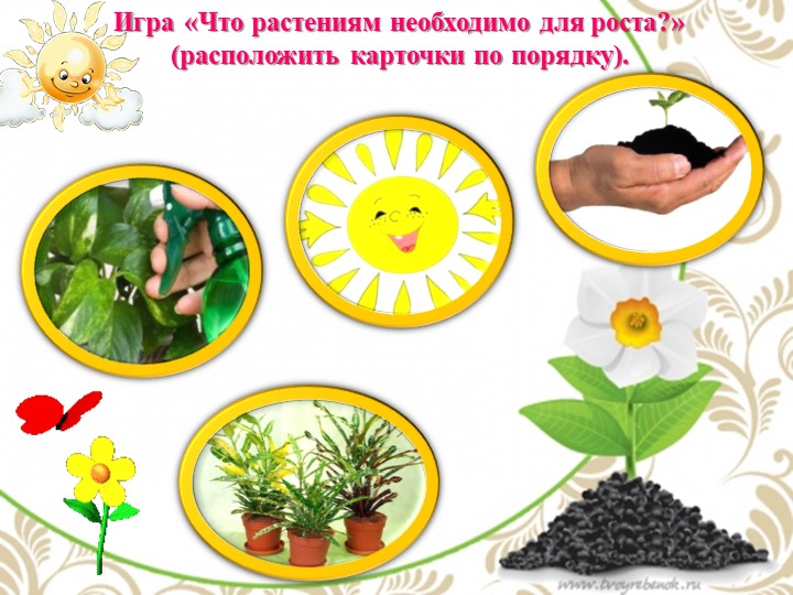 Презентация по экологии "Комнатные растения - наши друзья"