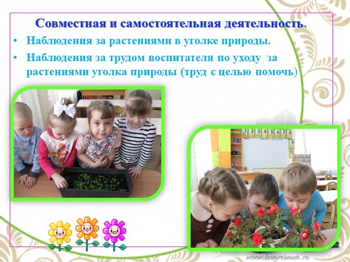 Презентация по экологии "Комнатные растения - наши друзья"
