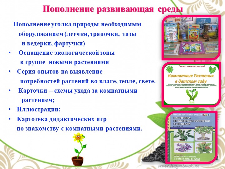Презентация по экологии "Комнатные растения - наши друзья"