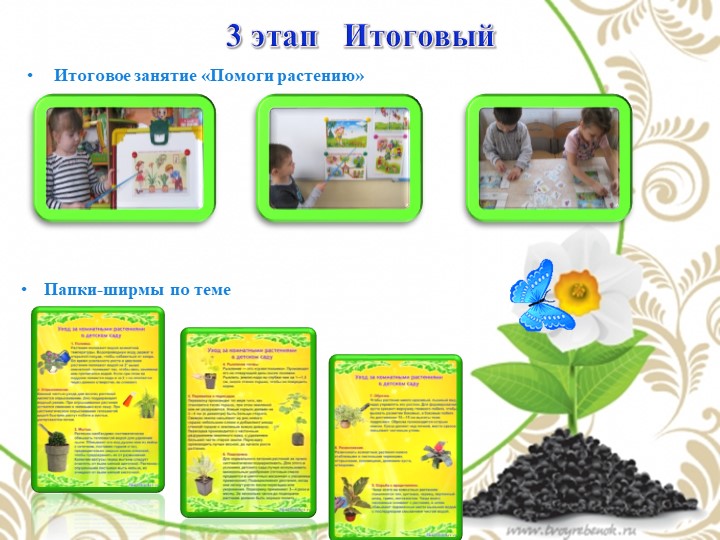 Презентация по экологии "Комнатные растения - наши друзья"