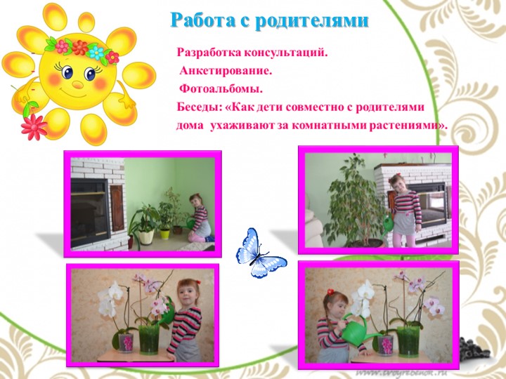 Презентация по экологии "Комнатные растения - наши друзья"