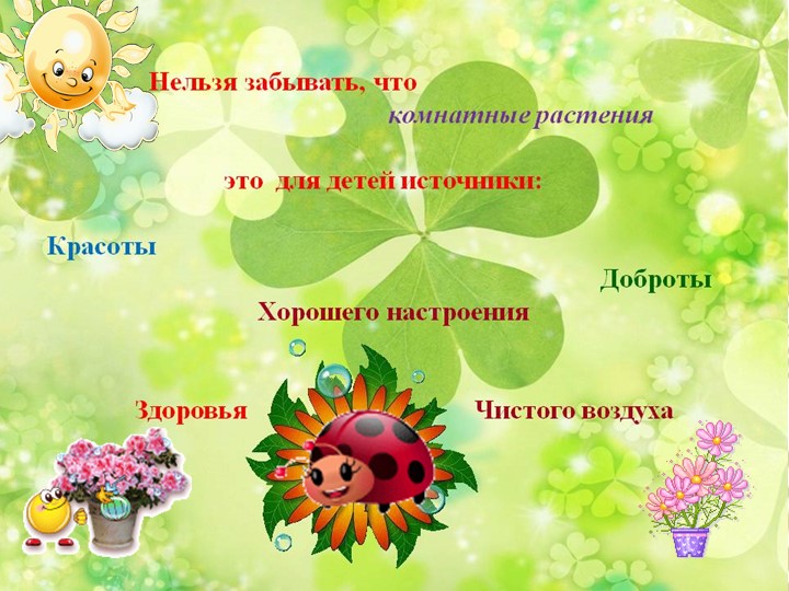Презентация по экологии "Комнатные растения - наши друзья"