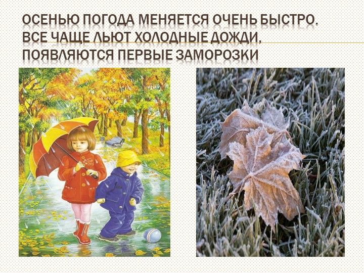 Презентация на тему: "Осень"