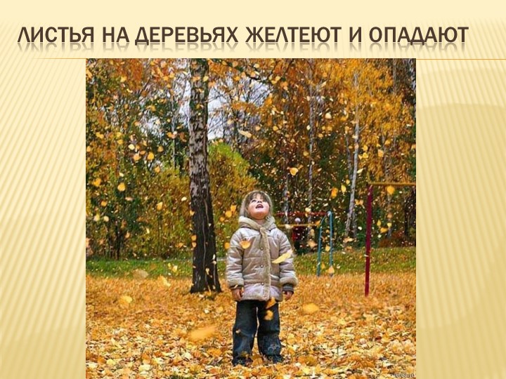 Презентация на тему: "Осень"