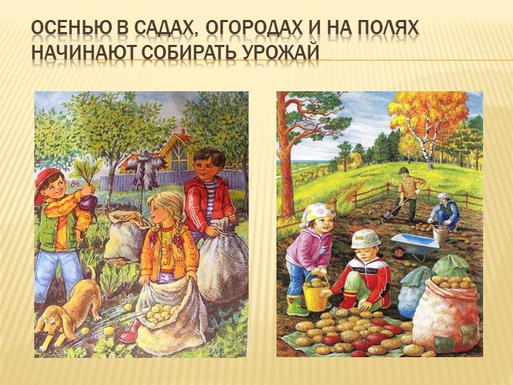 Презентация на тему: "Осень"