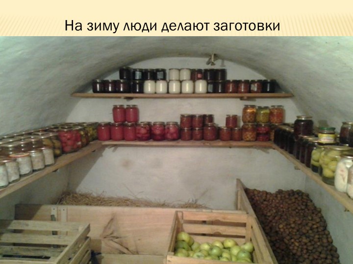 Презентация на тему: "Осень"