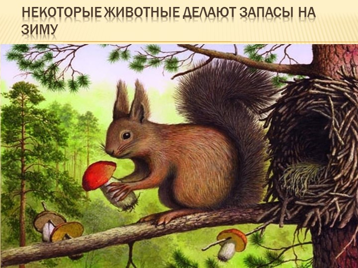Презентация на тему: "Осень"