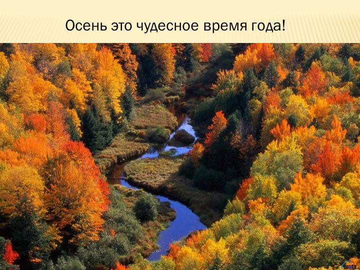 Презентация на тему: "Осень"