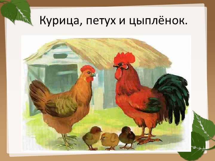 Презентация на тему "Домашние птицы".