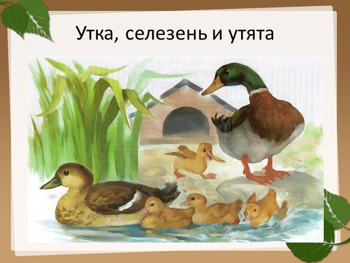 Презентация на тему "Домашние птицы".