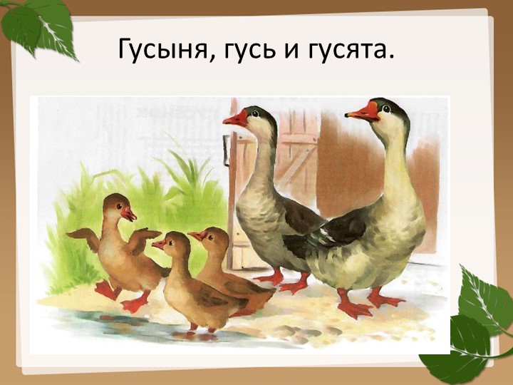 Презентация на тему "Домашние птицы".