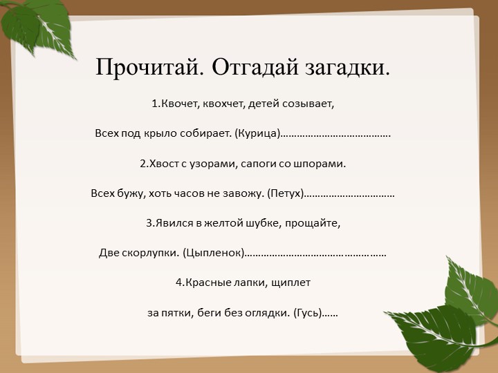 Презентация на тему "Домашние птицы".
