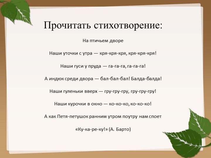 Презентация на тему "Домашние птицы".