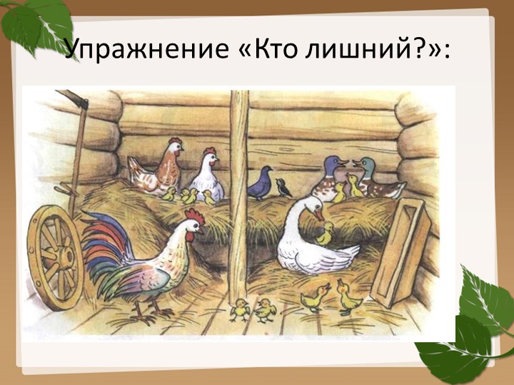 Презентация на тему "Домашние птицы".