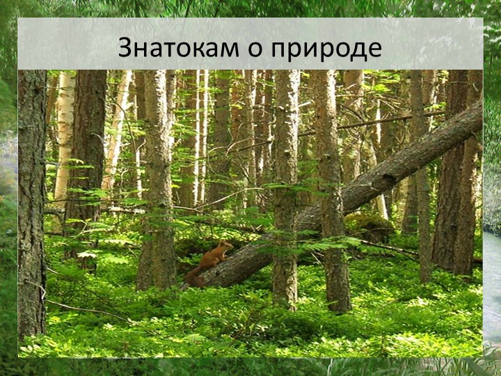 Презентация "Моя страна Россия"