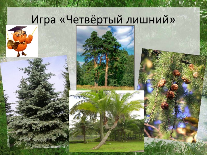 Презентация "Моя страна Россия"