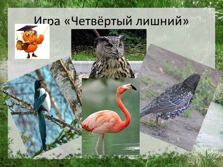 Презентация "Моя страна Россия"