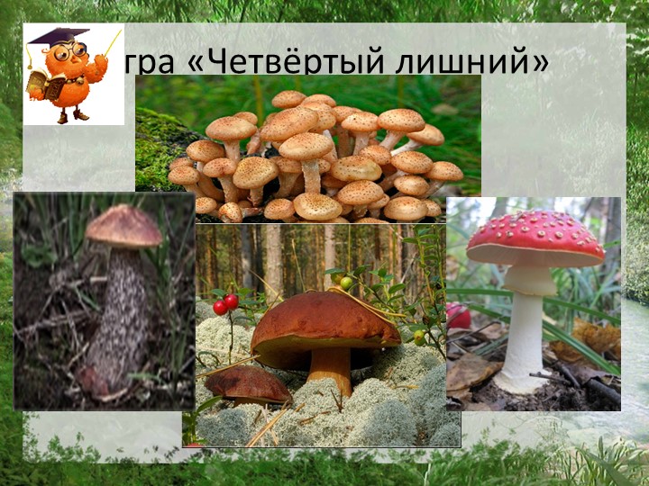 Презентация "Моя страна Россия"