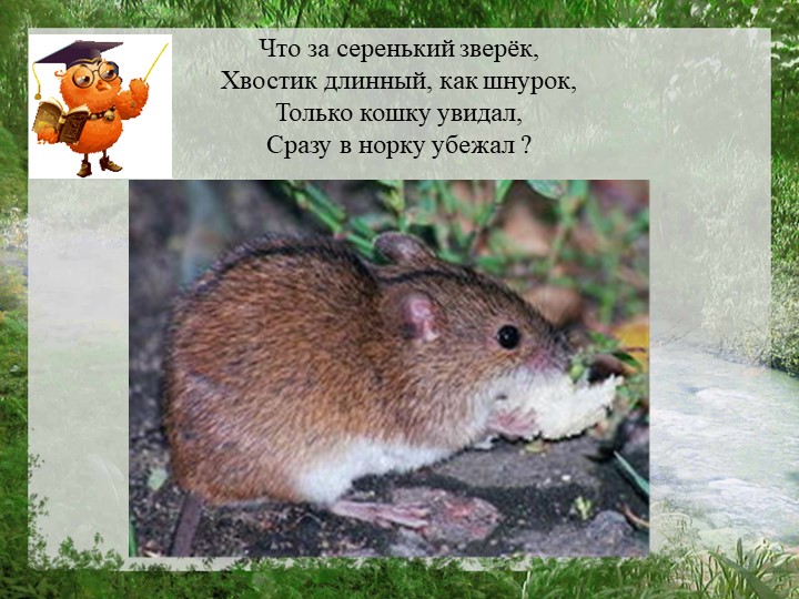 Презентация "Моя страна Россия"