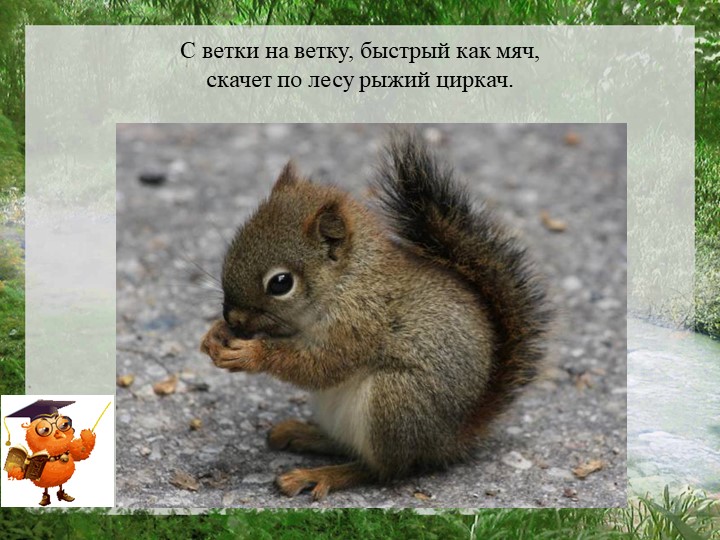 Презентация "Моя страна Россия"