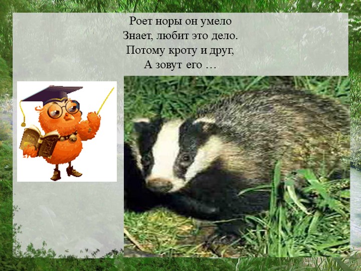 Презентация "Моя страна Россия"
