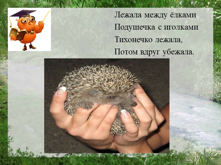 Презентация "Моя страна Россия"