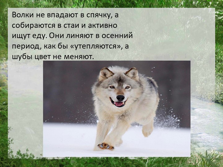 Презентация "Моя страна Россия"