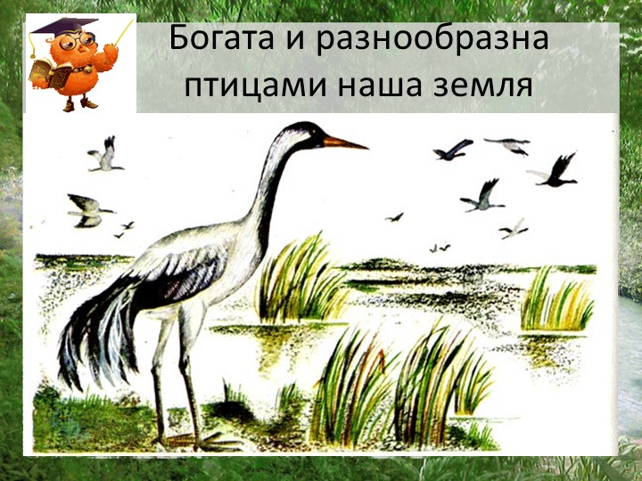 Презентация "Моя страна Россия"