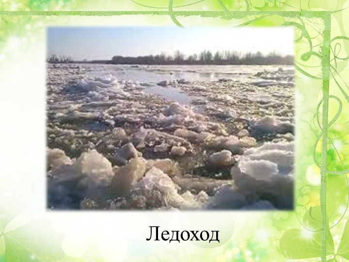 Презентация "Путешествие в весенний лес" (старшая группа)