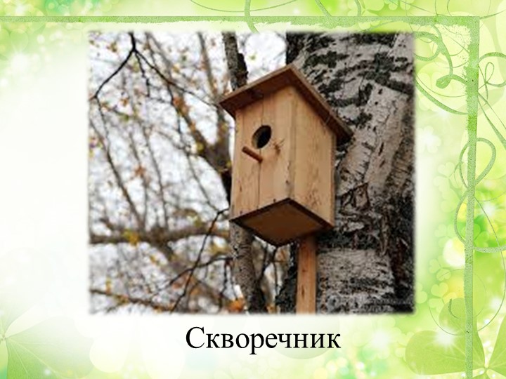 Презентация "Путешествие в весенний лес" (старшая группа)