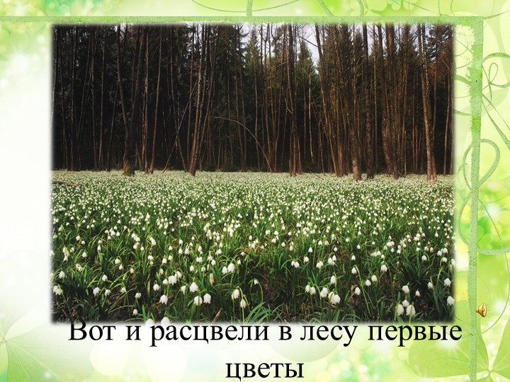 Презентация "Путешествие в весенний лес" (старшая группа)