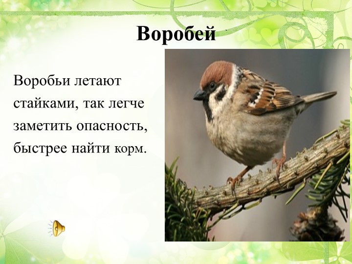 Презентация "Путешествие в весенний лес" (старшая группа)