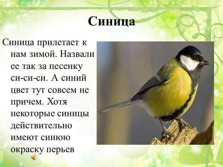 Презентация "Путешествие в весенний лес" (старшая группа)