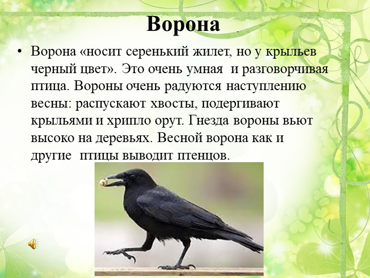 Презентация "Путешествие в весенний лес" (старшая группа)