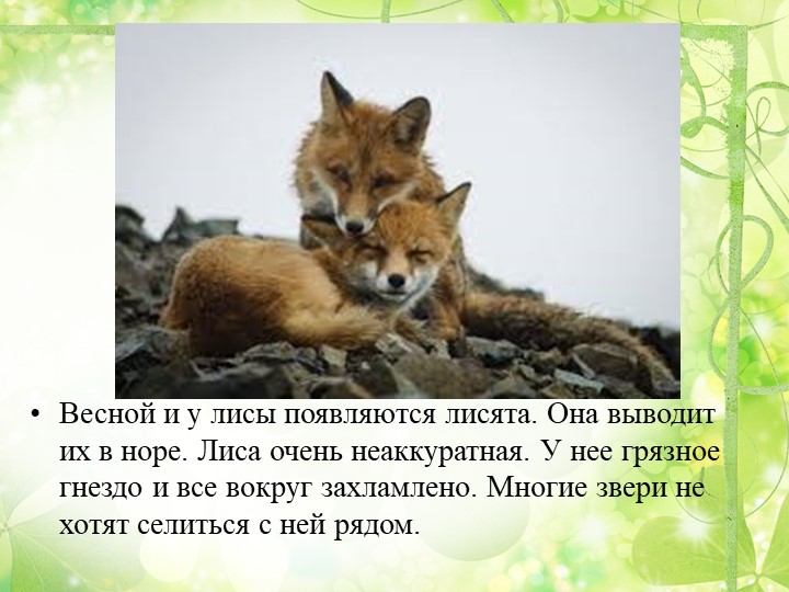 Презентация "Путешествие в весенний лес" (старшая группа)