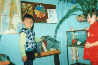 Shape15