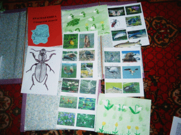 Picture 13