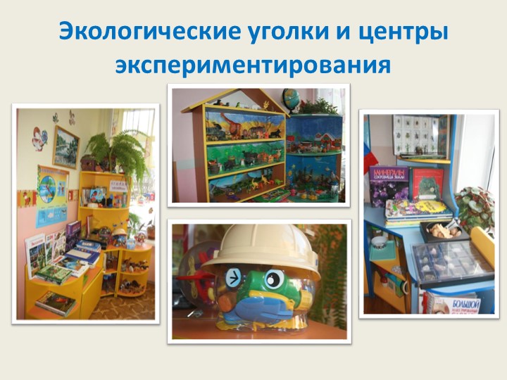 Экологическое образование детей дошкольного возраста в рамках реализации ФГОС дошкольного образования