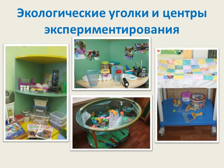 Экологическое образование детей дошкольного возраста в рамках реализации ФГОС дошкольного образования