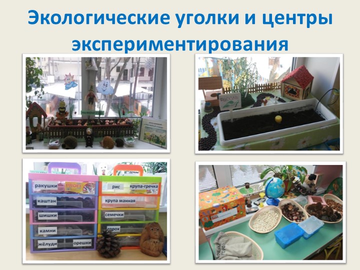 Экологическое образование детей дошкольного возраста в рамках реализации ФГОС дошкольного образования