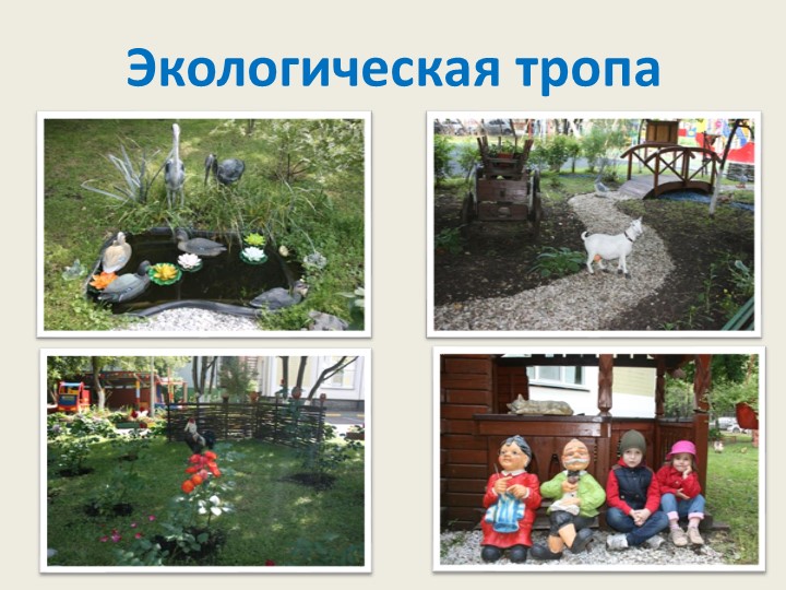 Экологическое образование детей дошкольного возраста в рамках реализации ФГОС дошкольного образования