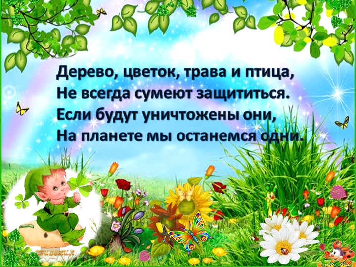 Презентация опыта работы по экологии "Будь природе другом"