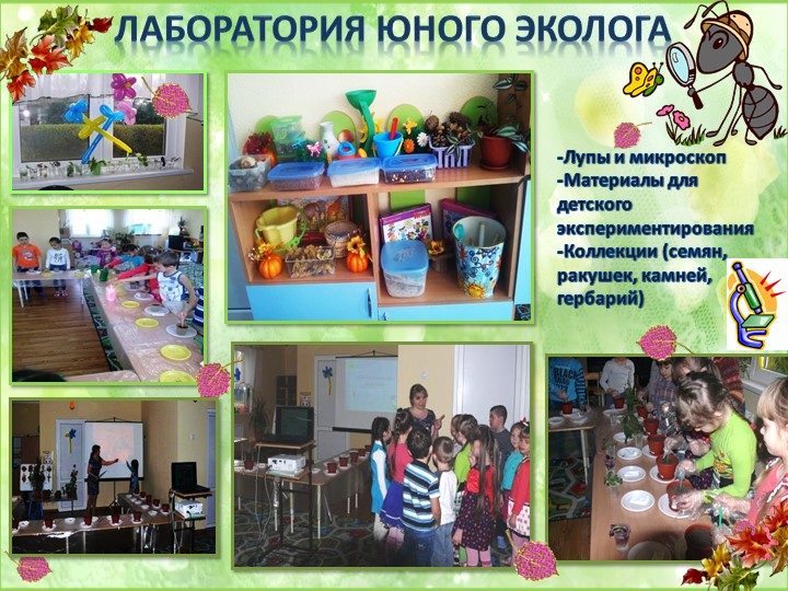 Презентация опыта работы по экологии "Будь природе другом"